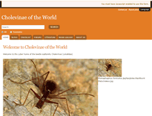 Tablet Screenshot of cholevidae.myspecies.info