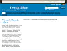 Tablet Screenshot of bermudalichens.myspecies.info